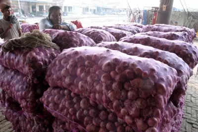 India exported 2.6 lakh tonne onion in April-July 