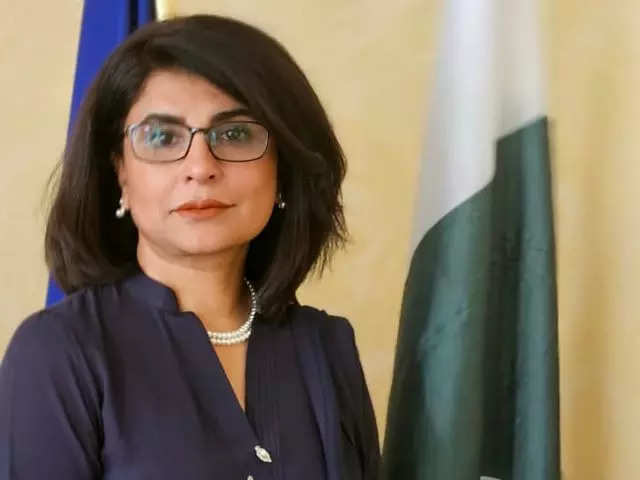 Amna Baloch set to be Pakistan's new Foreign Secretary: Report 