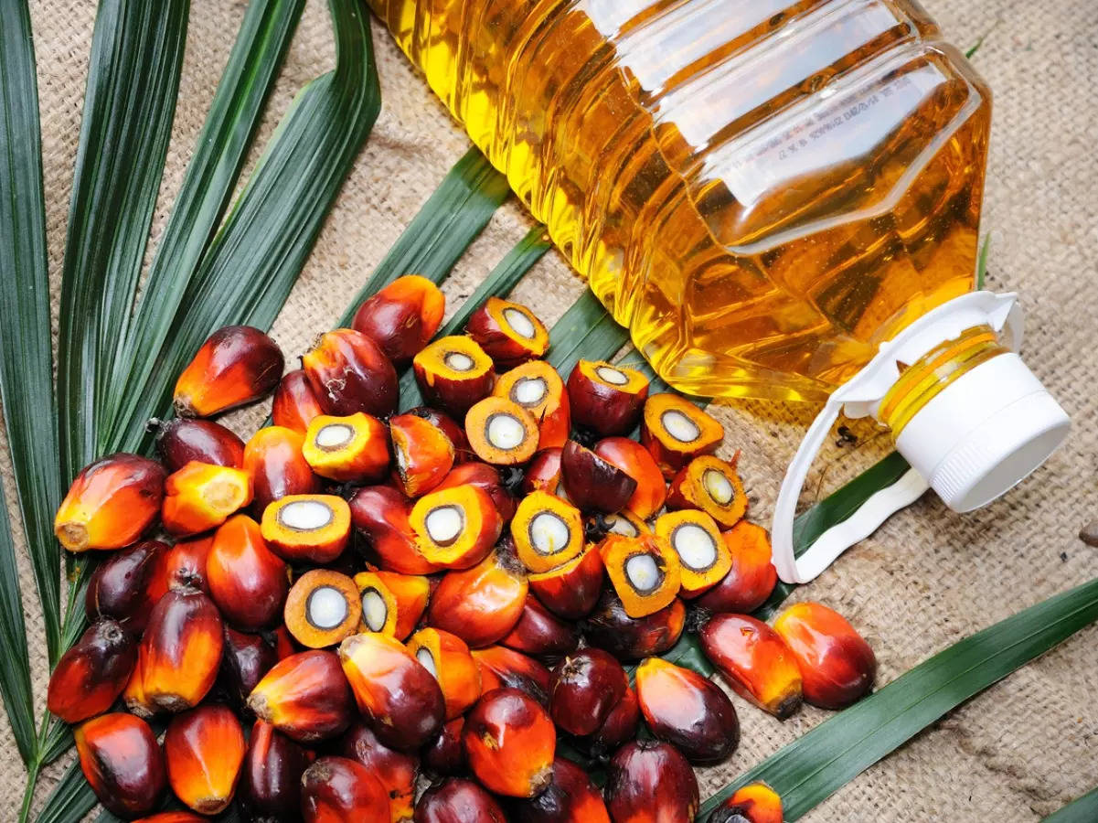 Godrej Agrovet to set up Oil Palm processing mill in Tripura 