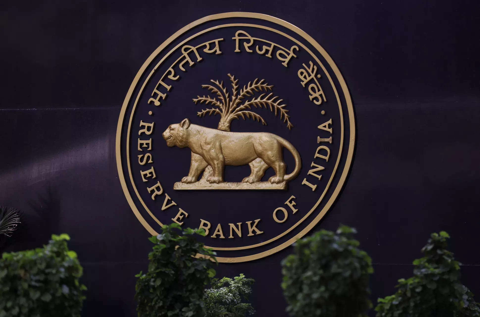 RBI injects funds to rein in bank funding costs amid forex outflows