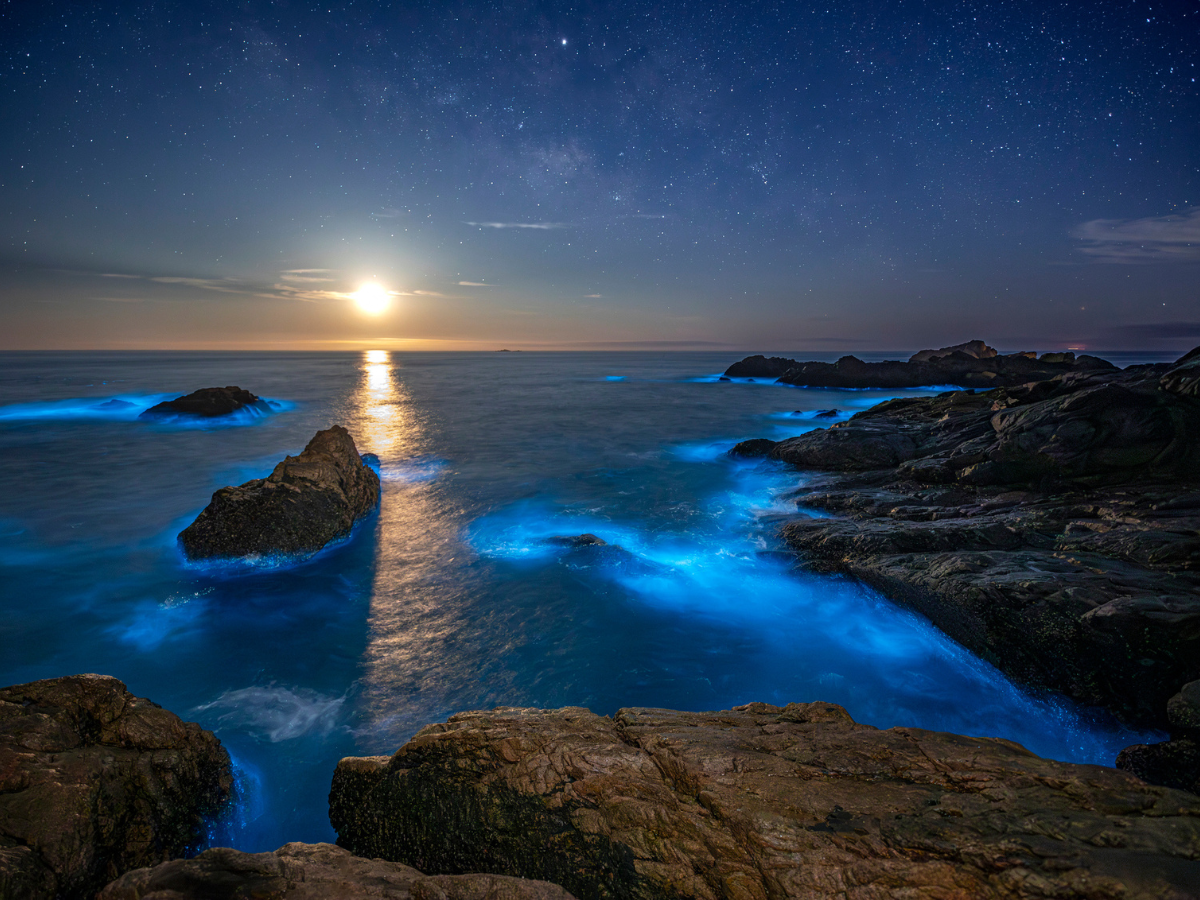 10 places that glow at night and how to get there:Image