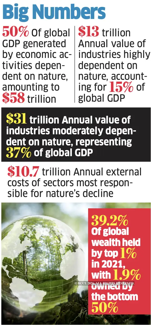 UN body calls for urgent action on biodiversity crisis - The Economic Times
