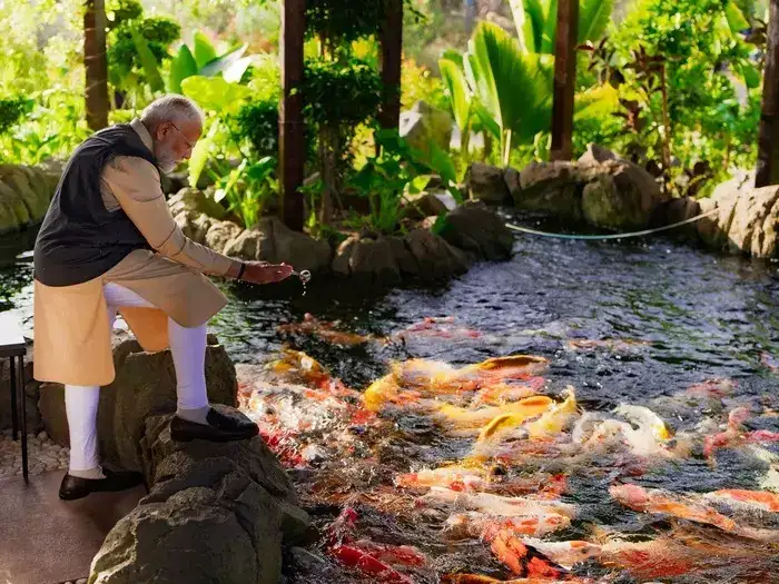 Gauri Fish A glimpse into Anant Ambani's Vantara: PM Narendra Modi’s visit to the ...