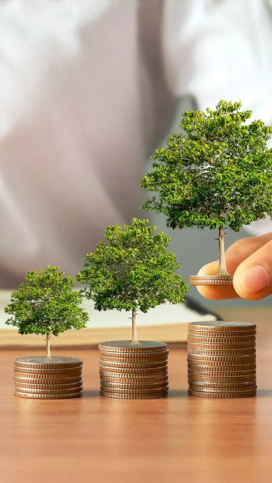 Top 5 mid cap funds with returns up to 30% in 3 years as on Mar 5, 2025