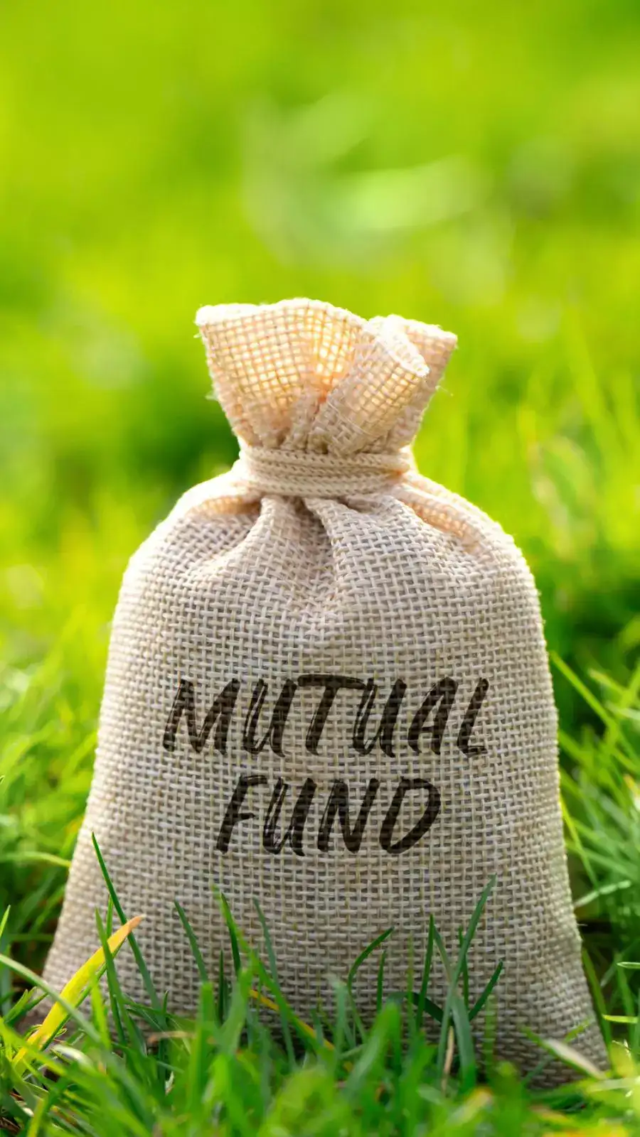 How to get a loan against mutual funds