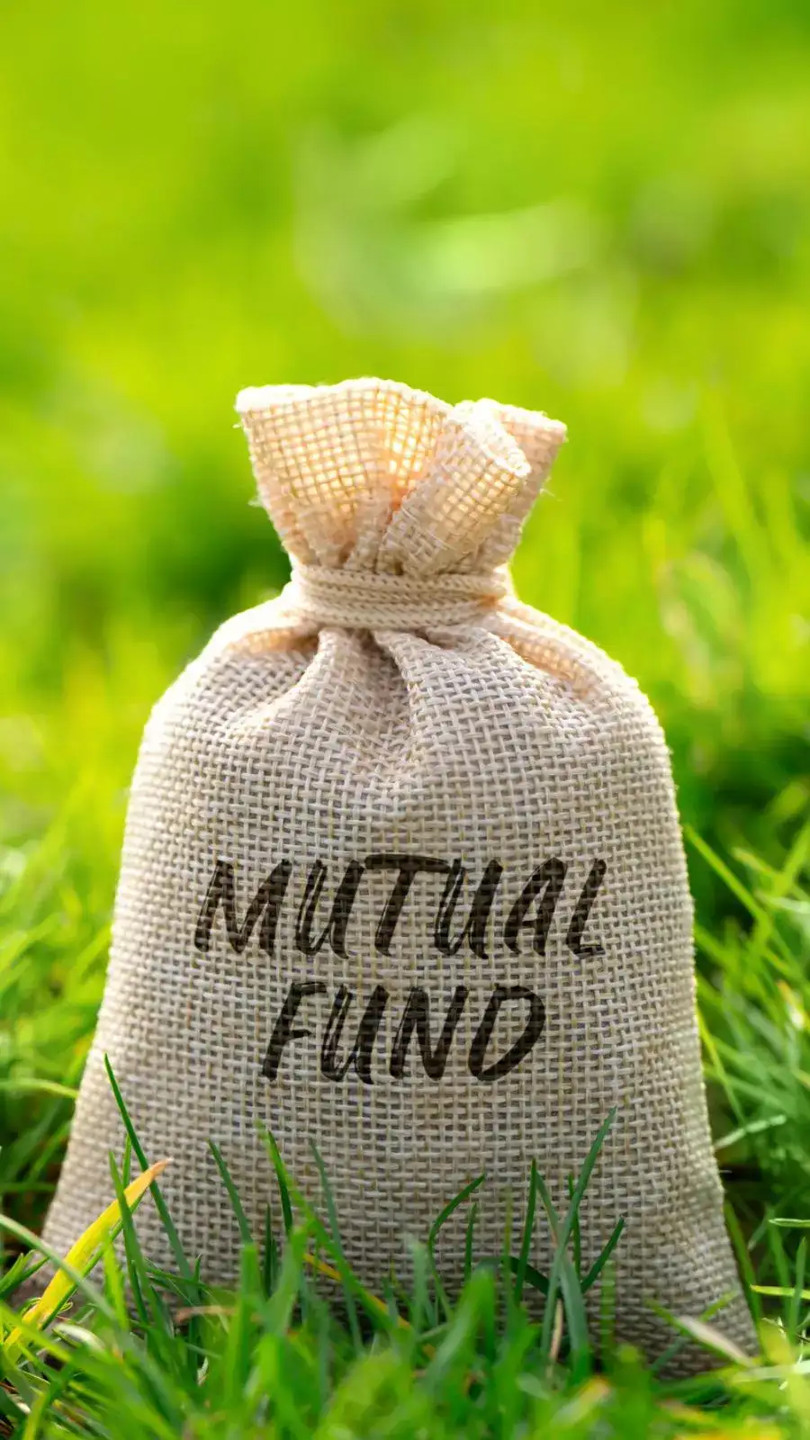 Top 5 equity schemes with up to 23% returns on 10-year SIPs