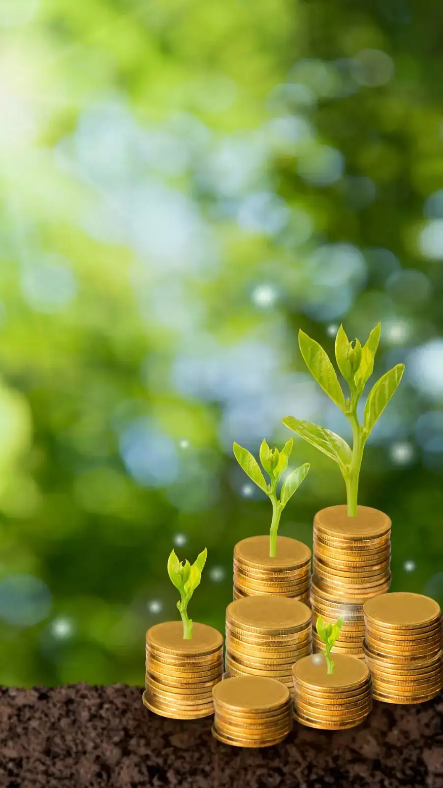 ​Top 5flexi capfunds with 5-year returns up to 38% as on Mar 19, 2025​