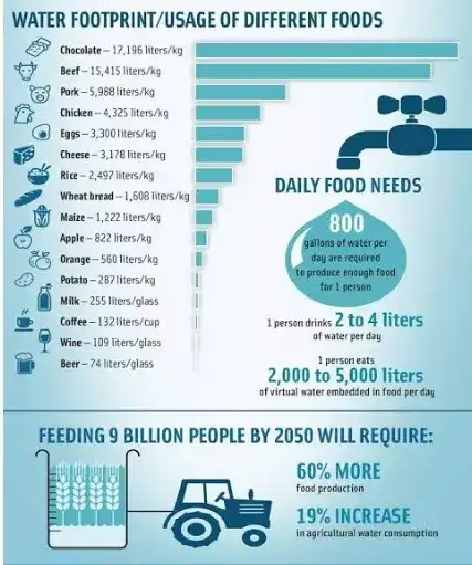 Sustainability image
