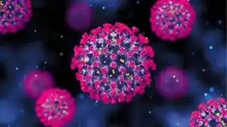 Kerala on alert after two suspected Nipah cases spark concern in three districts