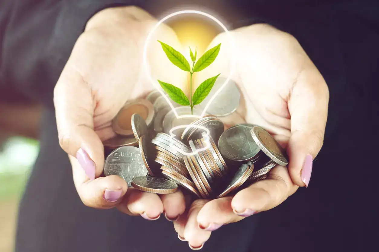Best flexi cap mutual funds to invest in July 2025 