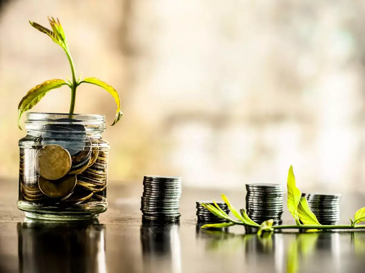 What happens if you don’t add a nominee in mutual funds or insurance