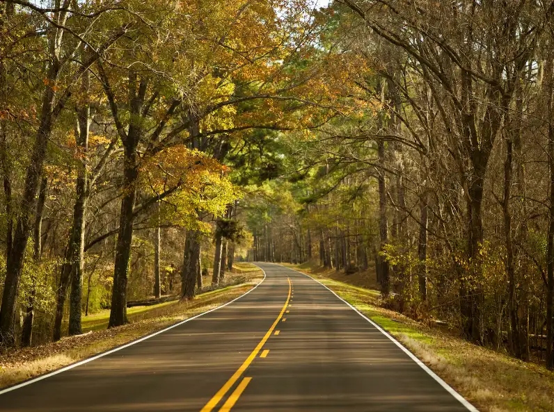 general The Natchez Trace Parkway in Tennessee. (iStock)