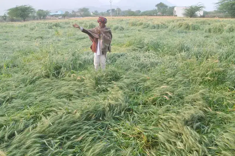 Shivraj Singh Chouhan to transfer crop insurance claims worth Rs 3,200 cr to 30 lakh farmers on Monday