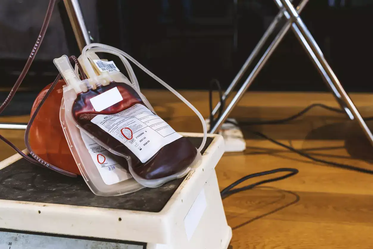 India issues first national guidelines for animal blood banks to save livestock