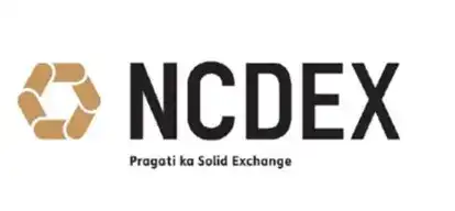 NCDEX raises $88 million ahead of equity foray: CEO 