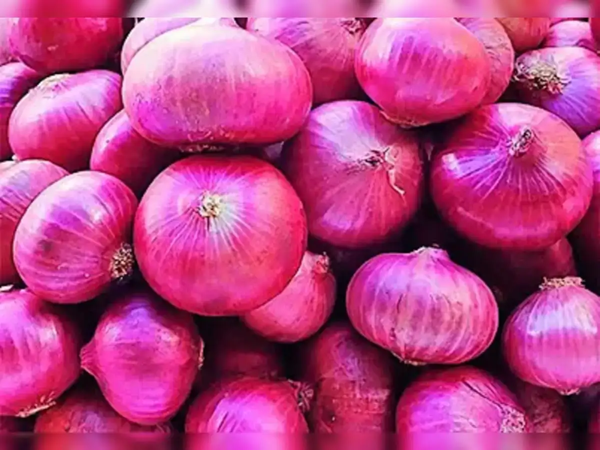 Centre launches subsidised onion sale at Rs 24/kg in Delhi, Mumbai, Ahmedabad