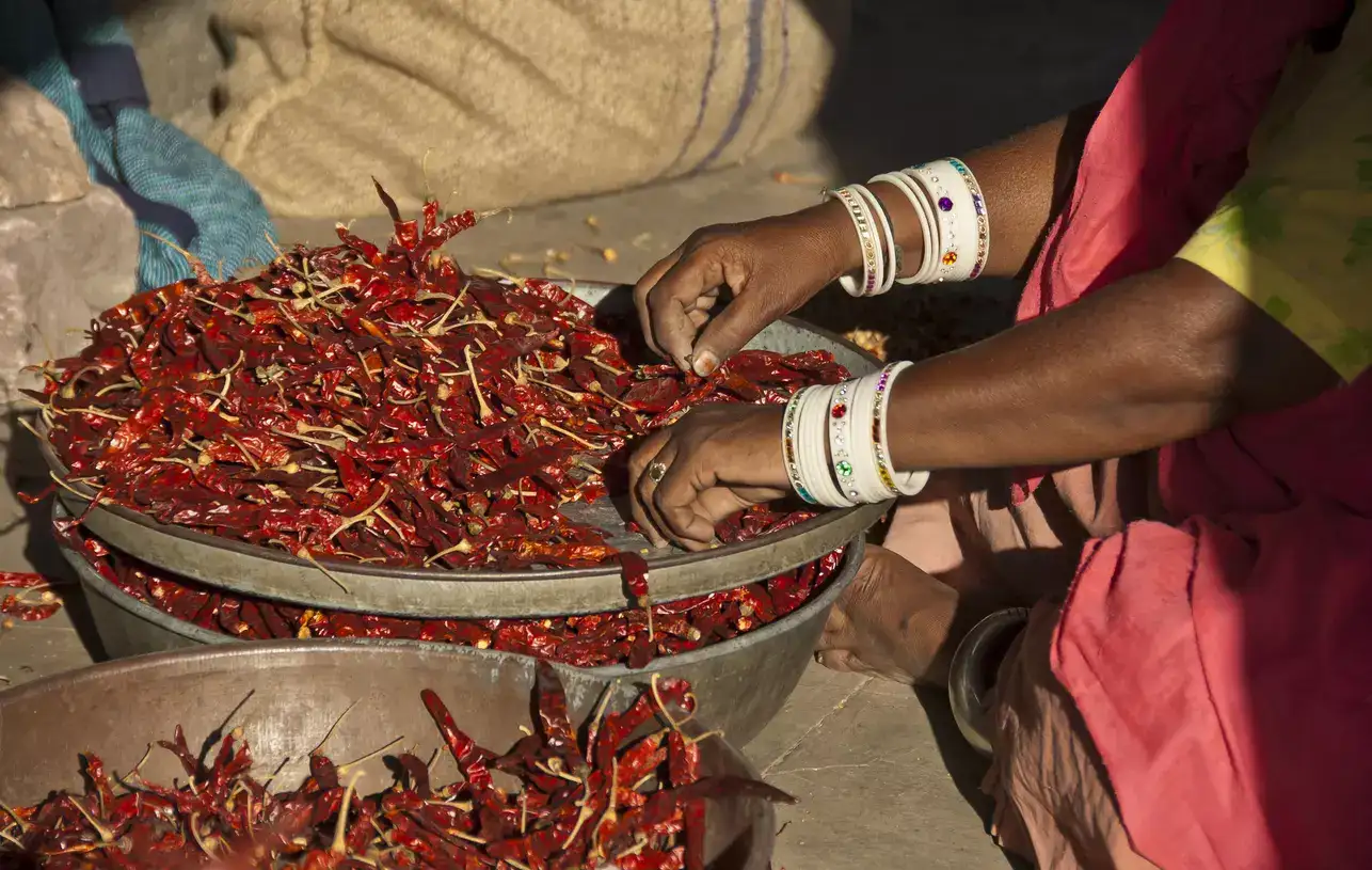 Move over, Tabasco! Indian chillies are turning up the heat on global ...