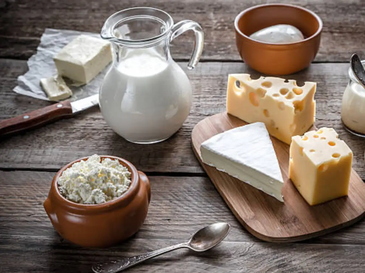 GST rate cuts to benefit 10 crore dairy farmers: Ministry of Cooperation