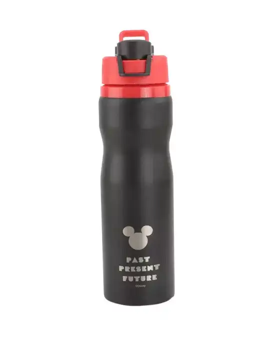 Image for Disney-StainlessSteelSingleWallVacuumSipperFlaskInfuserWaterBottle