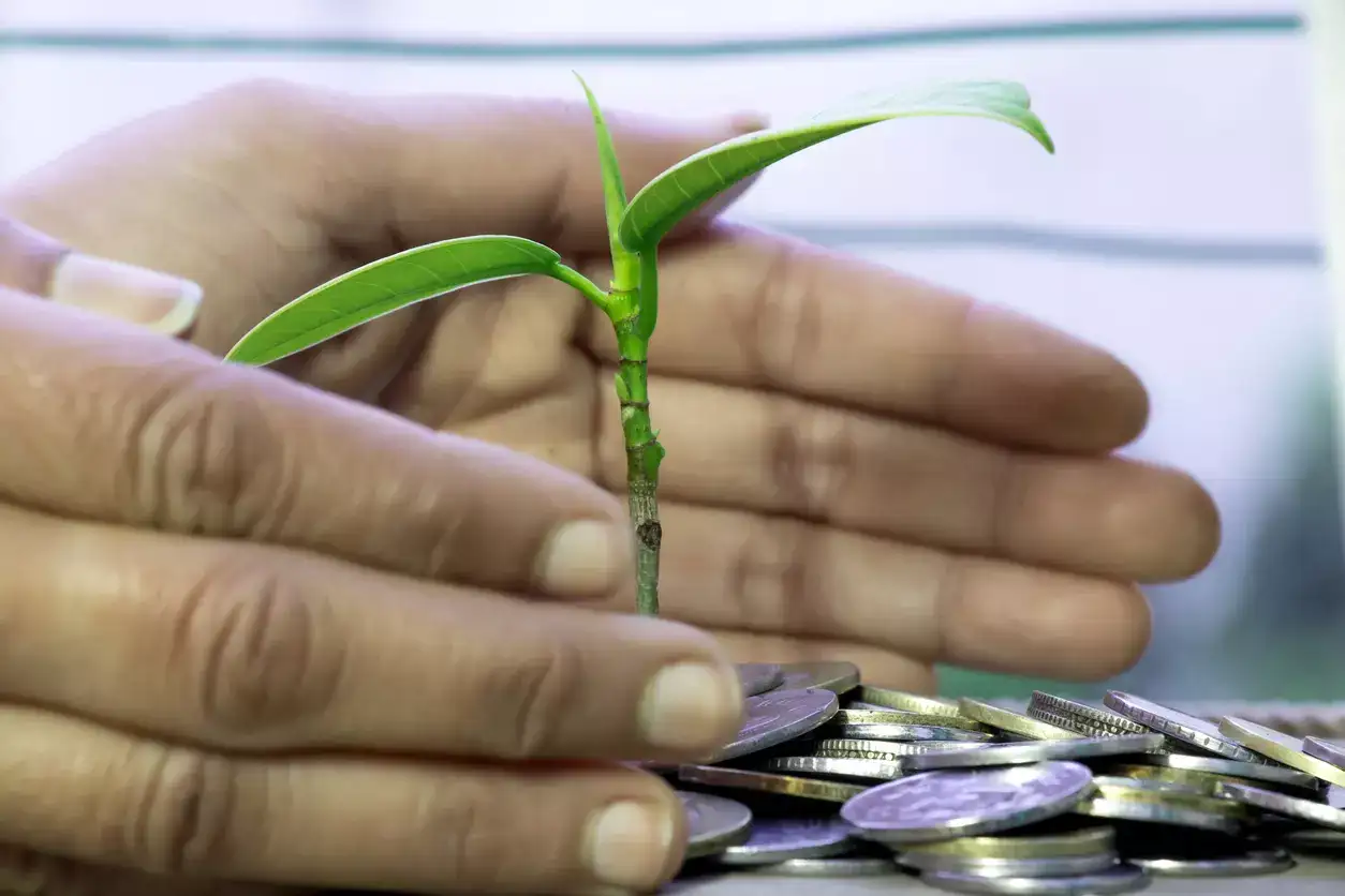 Quant Small Cap Fund and SBI Large Cap Fund among 9 funds that saw outflows of over Rs 550 crore in August 