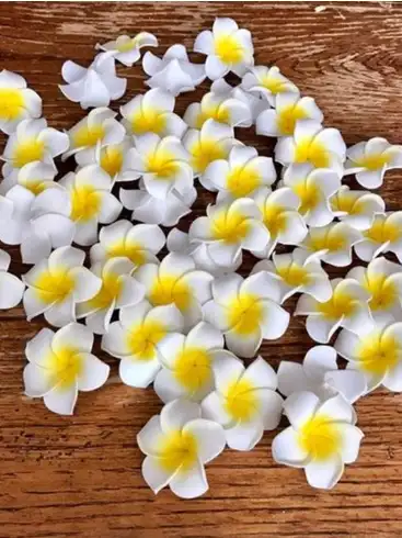 Image for TIEDRIBBONSWhiteYellowHawaiiPlumeriaArtificialFloatingFlowers
