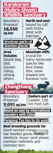 Screenshot 2025-10-26 234108 Screenshot 2025-10-26 234108