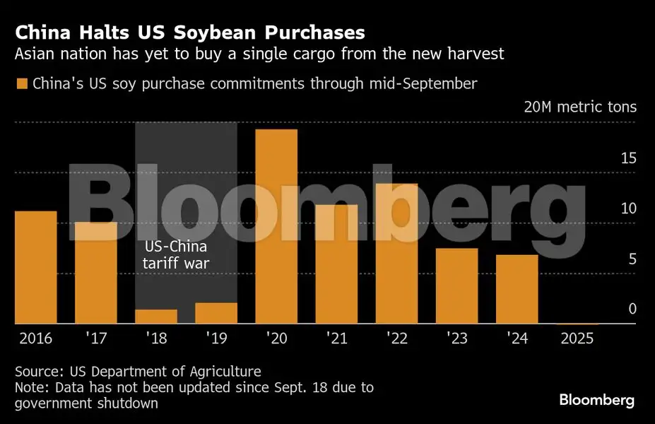 China’s soybean feud with Trump leaves US farmers with huge crops and ...