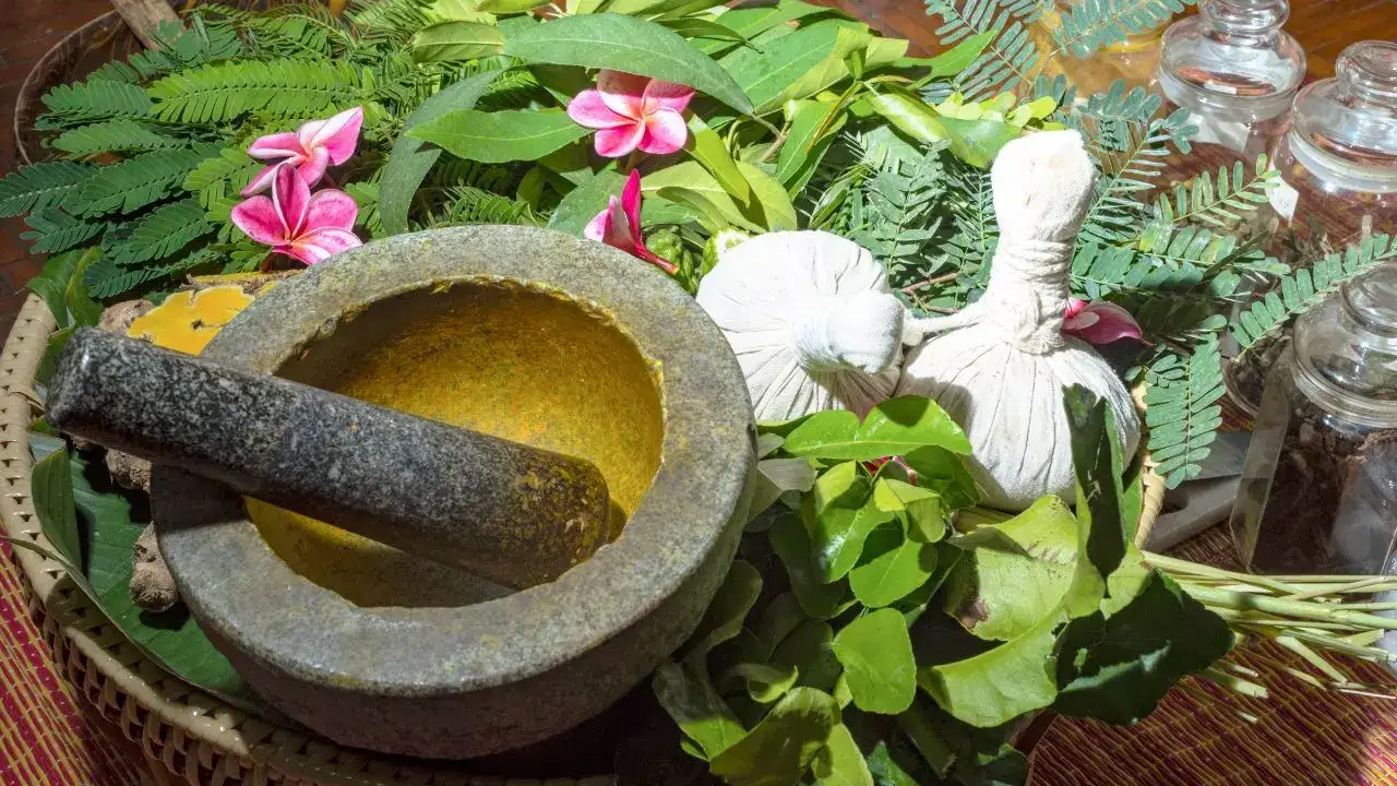 Indian Ayurveda economy valued at $43 billion: Ayush Secretary Kotecha