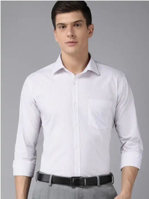 Image for ParkAvenueMenPurpleAndWhitePinstripedSlimFitPureCottonFormalShirt