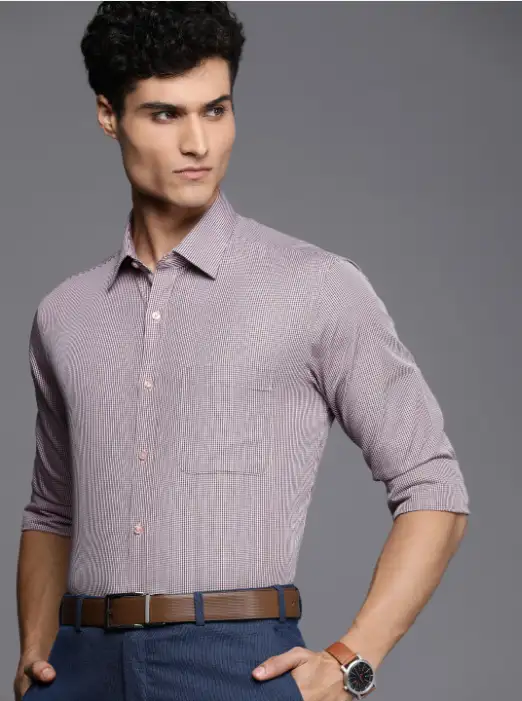 Image for RaymondMenRedAndBrownSlimFitMicroCheckedPureCottonFormalShirt