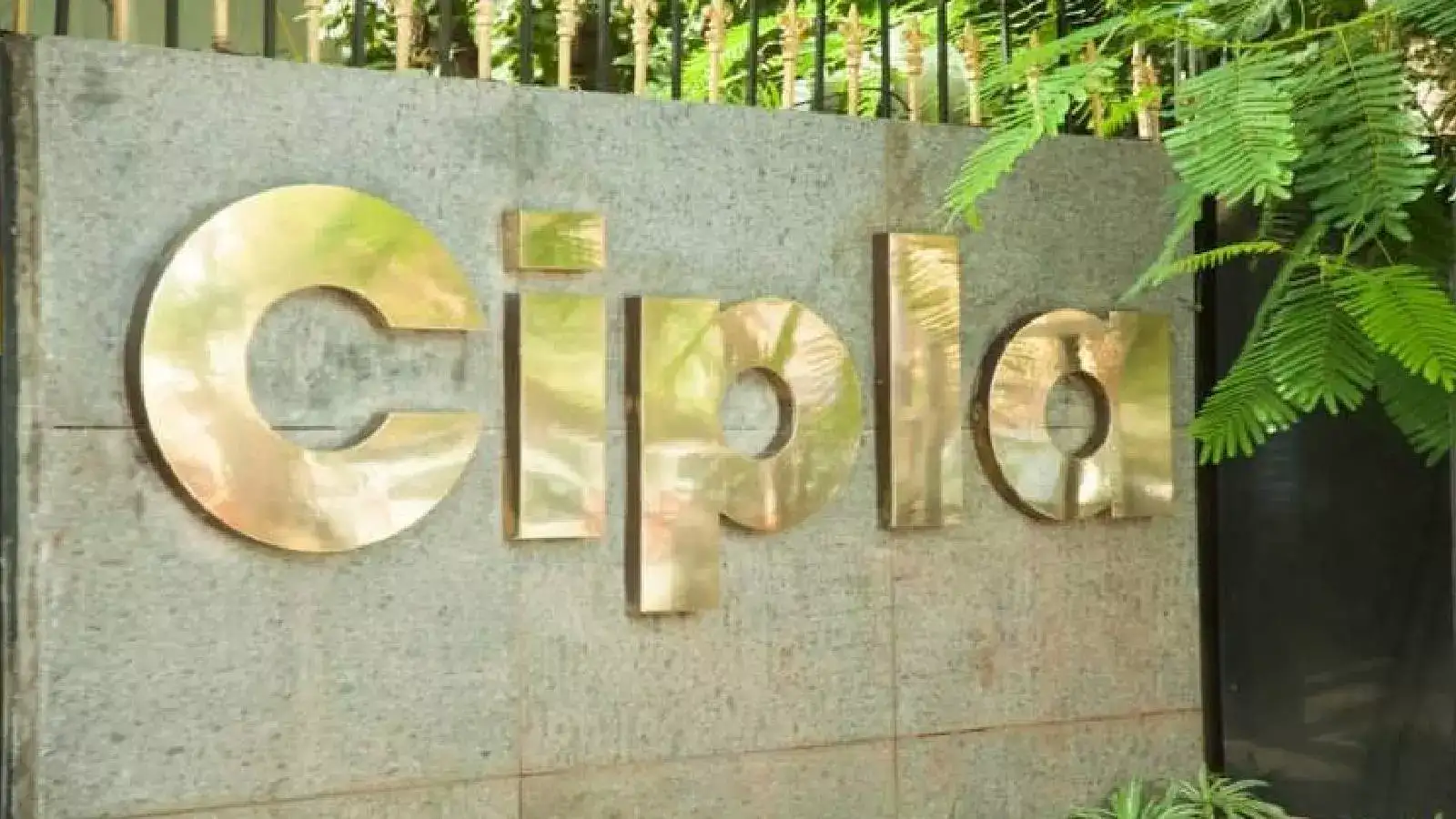 Cipla Q3 Results: Net profit plunges 57% YoY to Rs 676 crore
