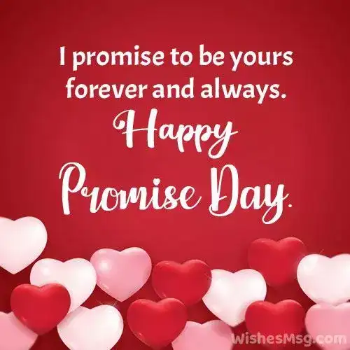 Image for PromiseDay