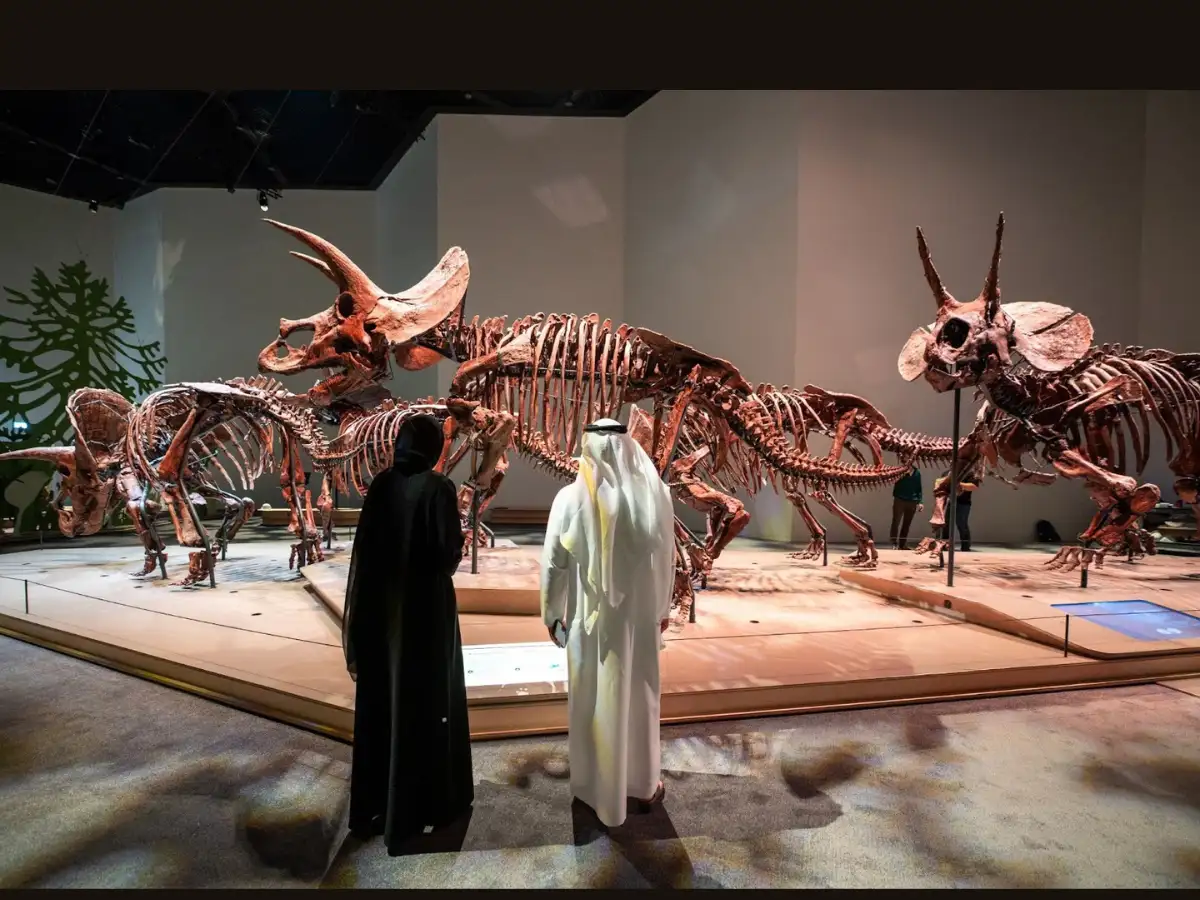 Trace Earth’s story through time, fossils and wildlife at The Natural History Museum Abu Dhabi