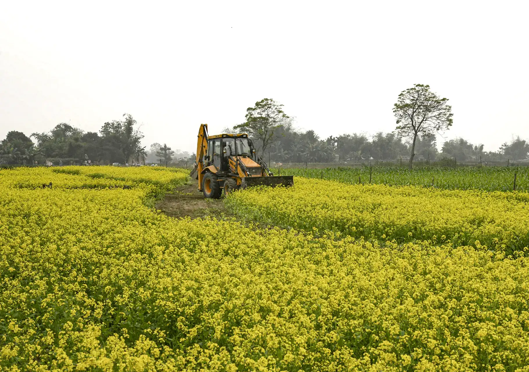 UPL looks to combine global and local crop protection business as part of second major reorganisation