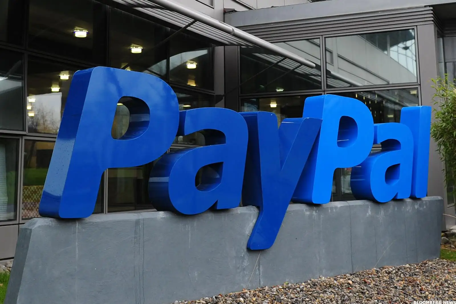 paypal paypal