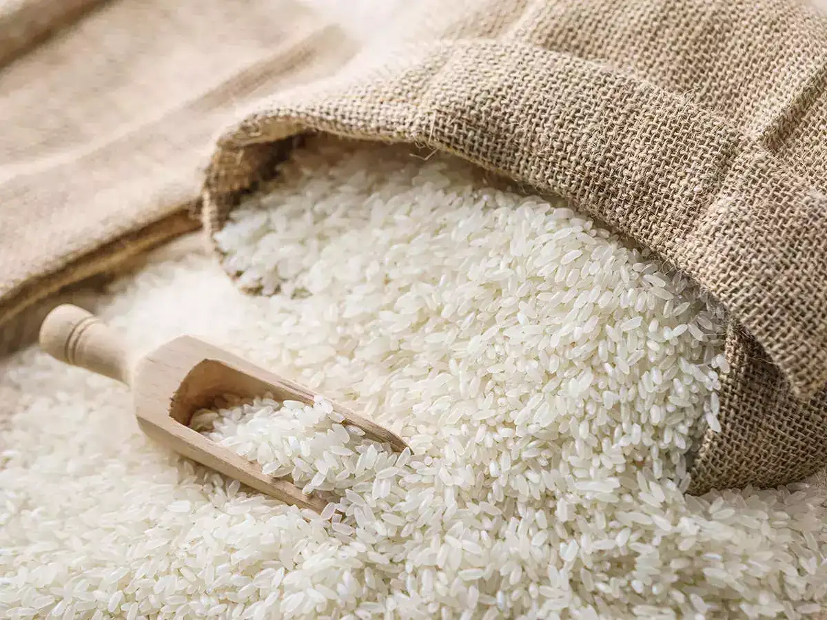 LT Foods, KRBL &amp; other rice stocks fall up to 11% as Israel-Iran war flares up. Here's why