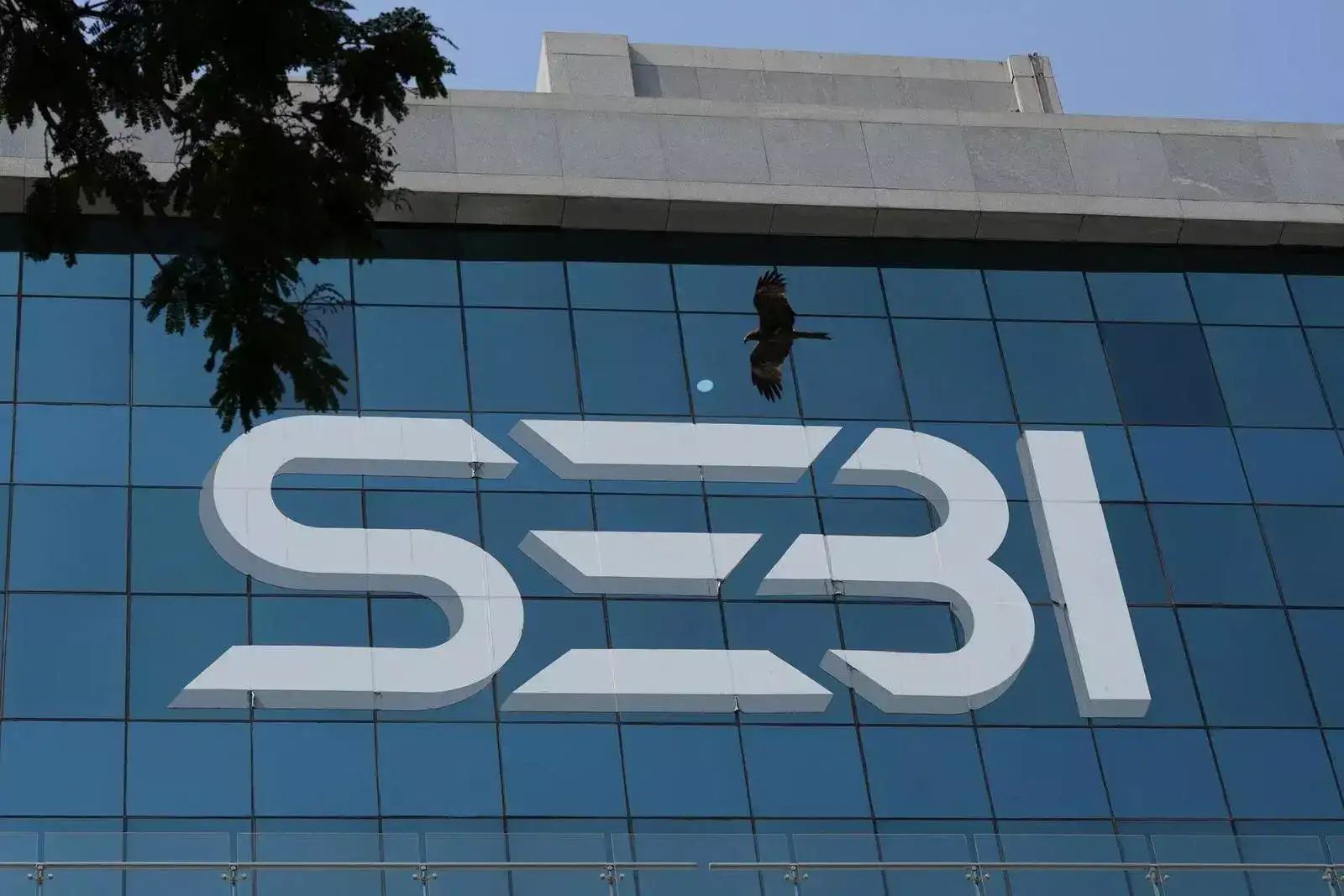 Sebi