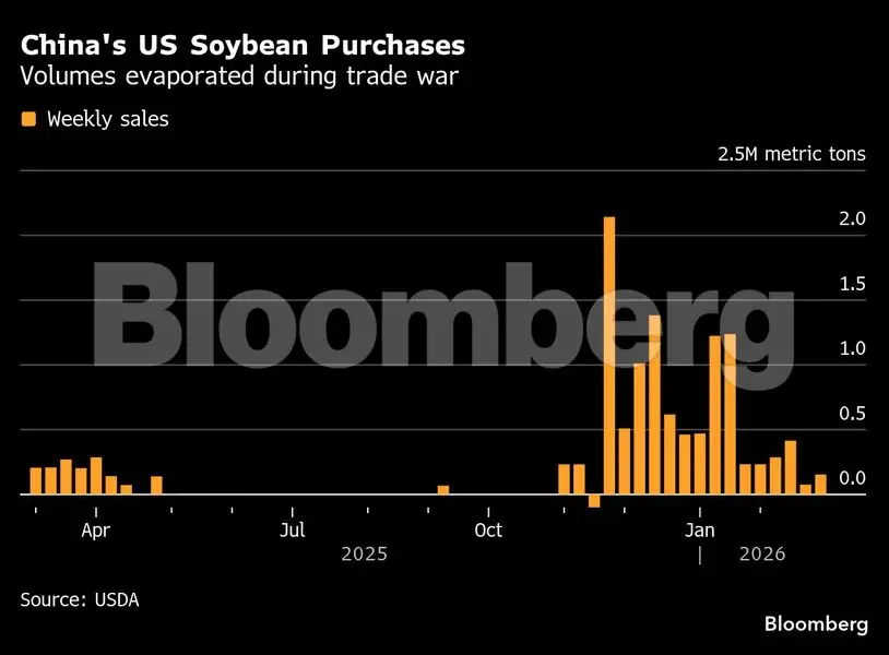 Soybeans in spotlight as trade chiefs prepare for Trump-Xi meet - The ...