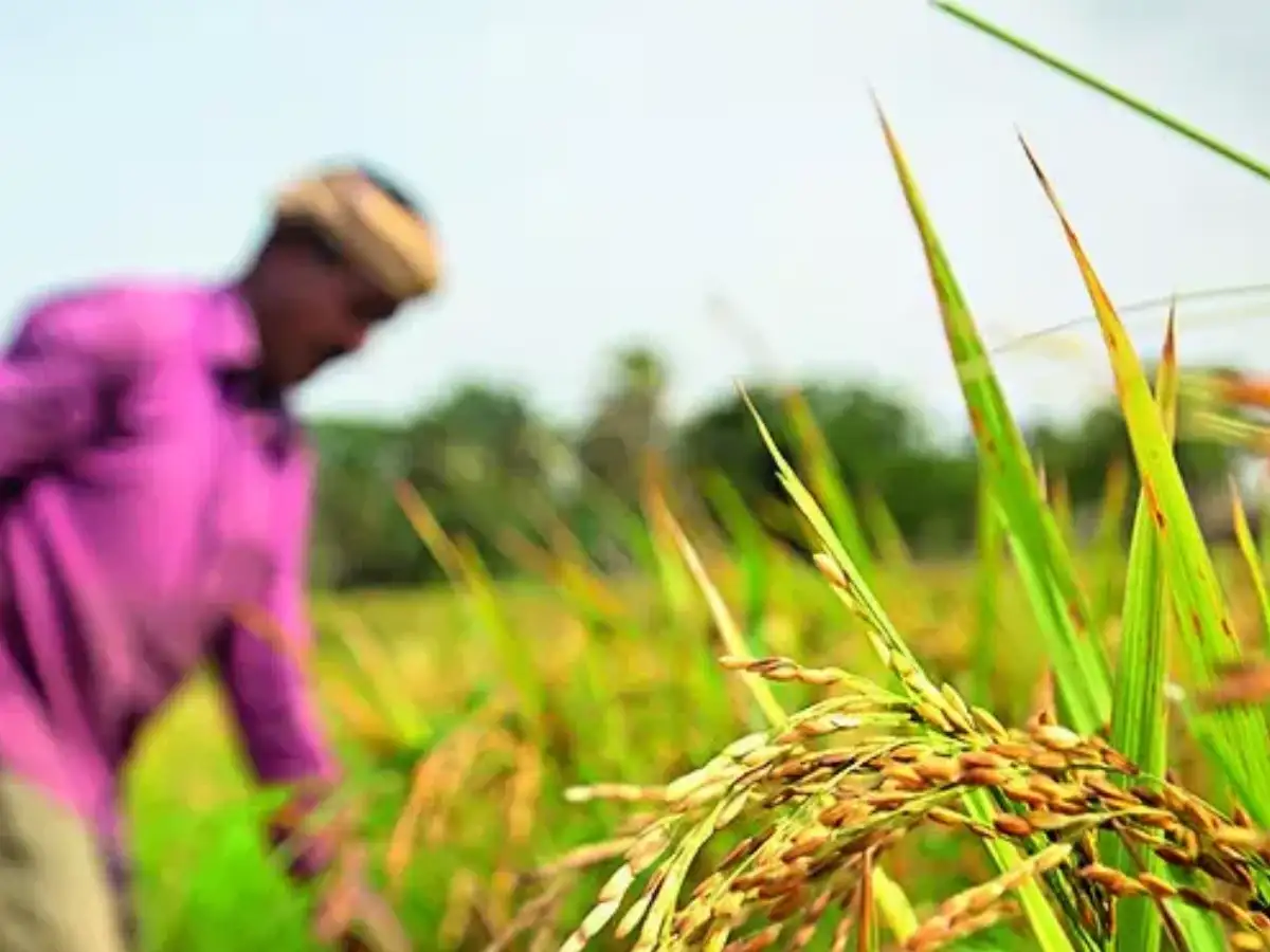 India has enough urea stock until May as 1 million tonnes reach ports