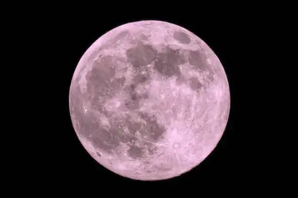 Pink Moon 2026: When and how to catch April’s full moon at its brightest