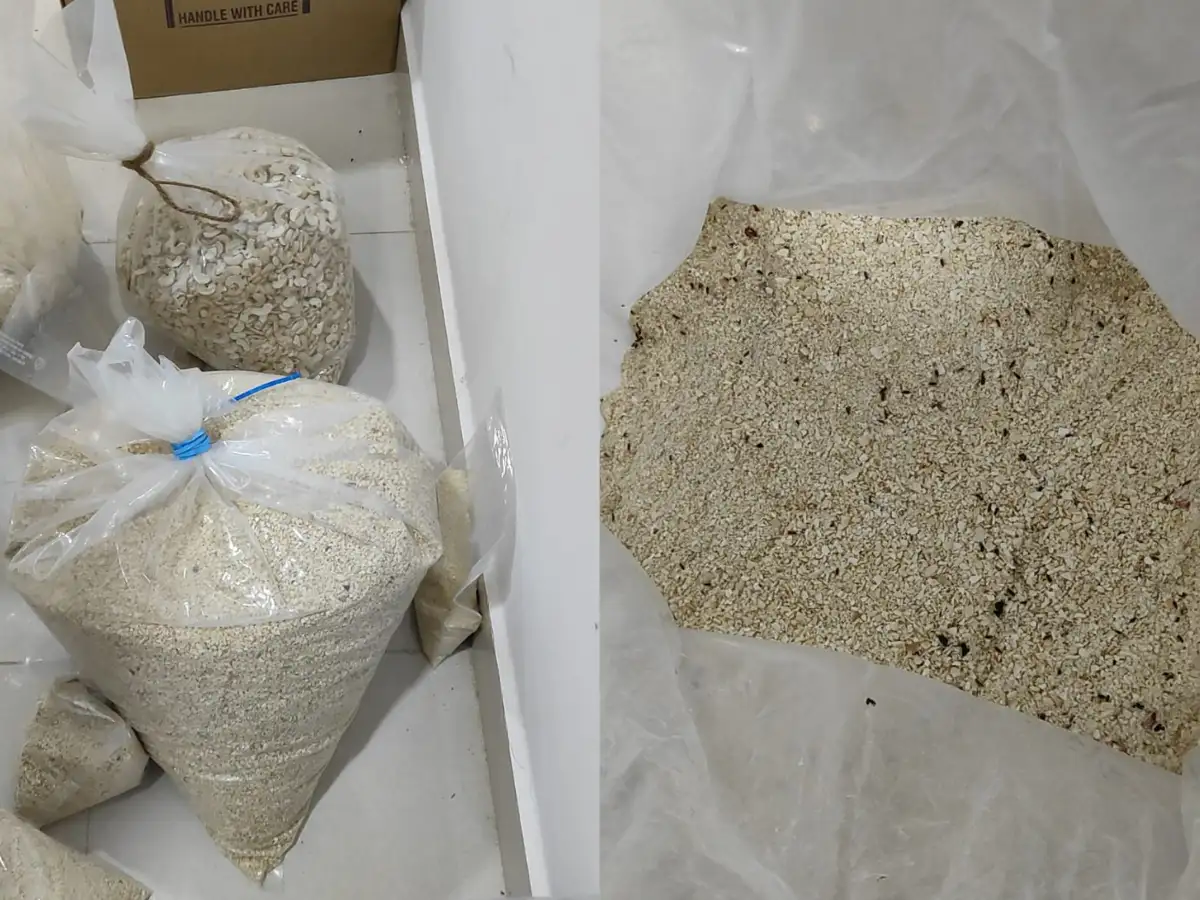 Rs 1.5 lakh kaju seized in Hyderabad: Over 200 kg of suspected low-quality cashews found at repacking unit