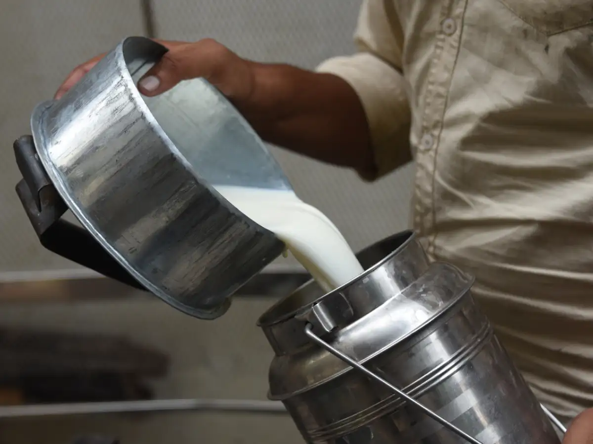 Milk purity test: How to detect detergent-based synthetic milk in just 10 seconds