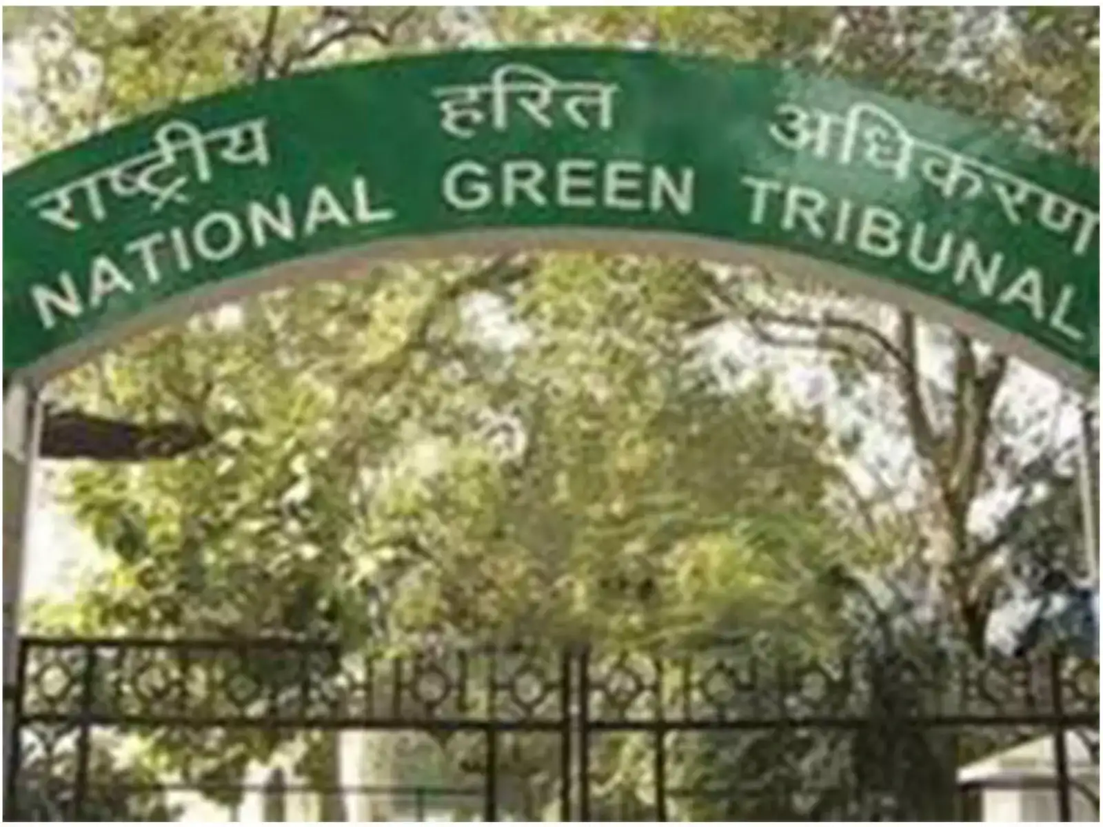 Assam: NGT stays order for deployment of forest guards in upcoming polls