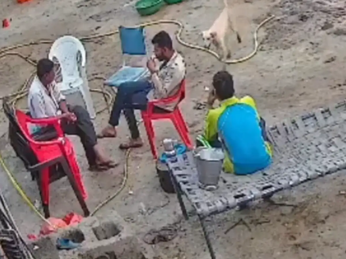 30-second dog attack caught on CCTV: Multiple people bitten in viral video