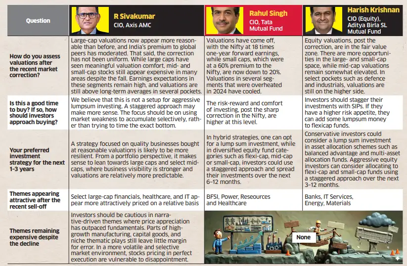 Fund Managers Back Large-Caps, Stay Wary of Mid- & Small Caps