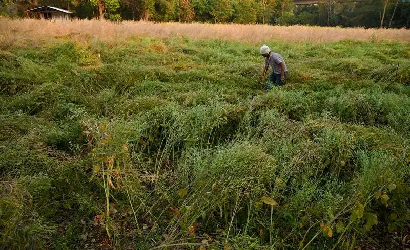 NITI Aayog Unveils Horticulture Roadmap for J&K’s Global Expansion