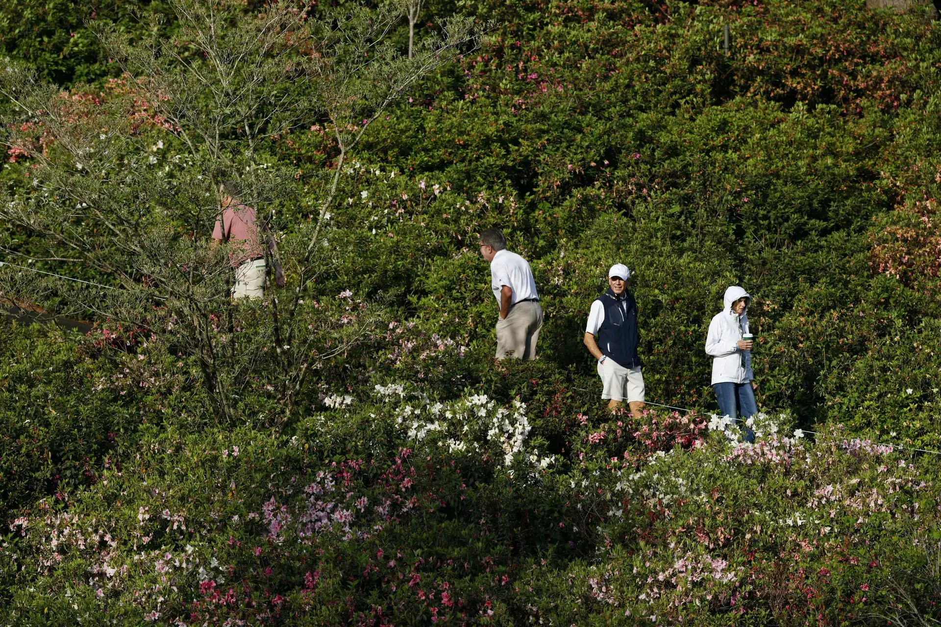 Augusta: Where flowers bloom and dreams break; 91 men begin Golf’s trial at the 90th Masters