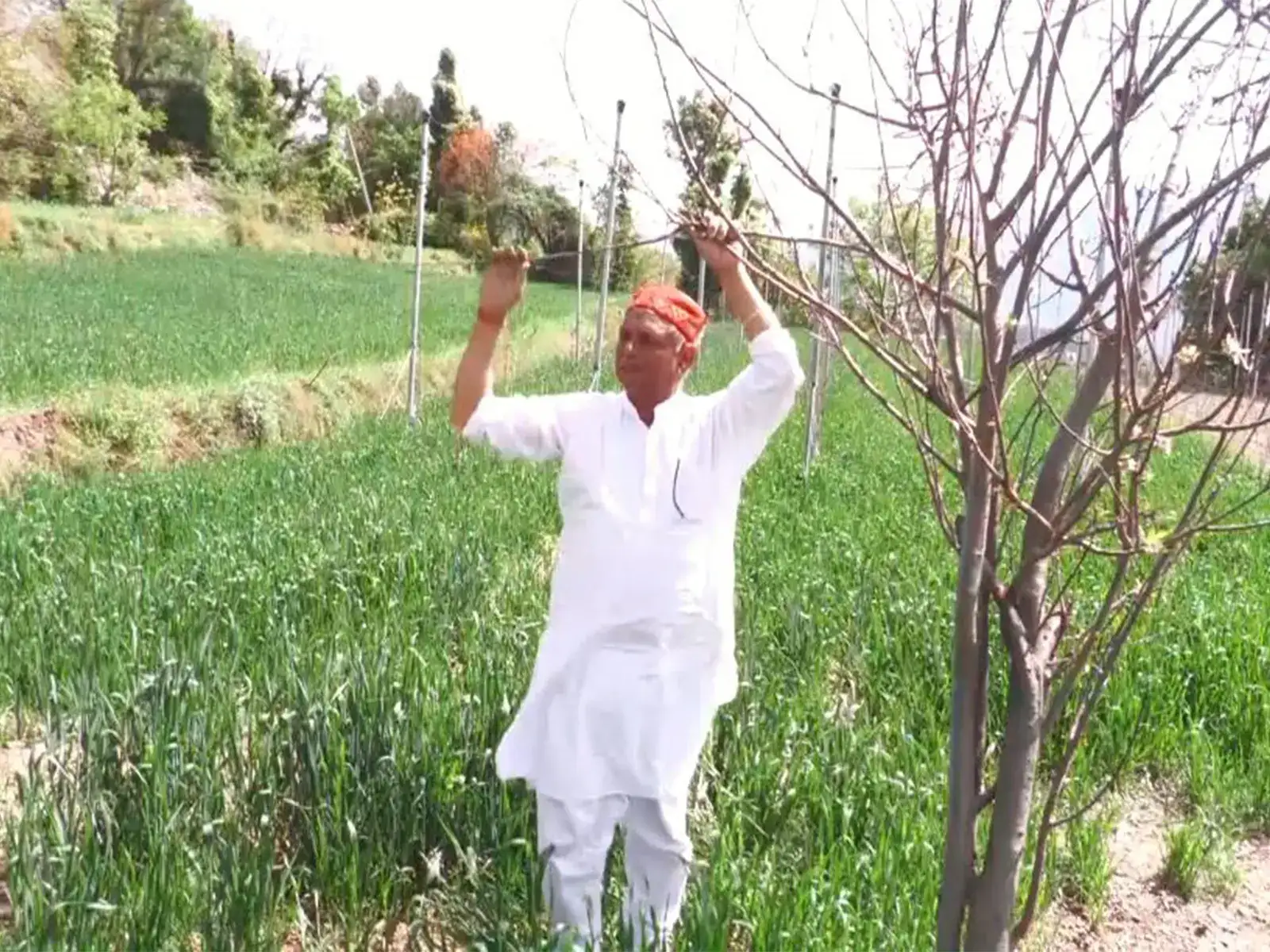 Jammu and Kashmir: 60-year-old farmer transforms six kanals into thriving apple hub