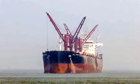 Iranian oil arrives in India just ahead of US waiver expiry