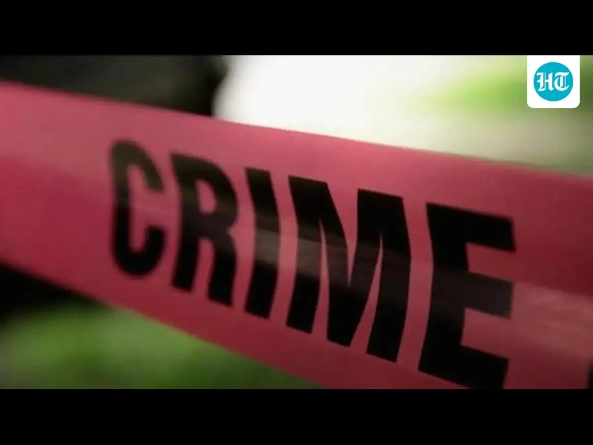 Nashik sexual harassment case: 'Male accused acted like organised gang to target female colleagues'